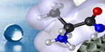 Hydrophobe VI